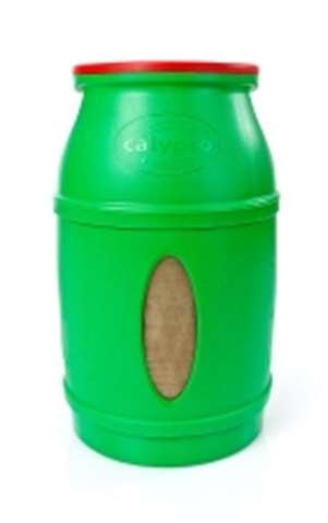 Calypso